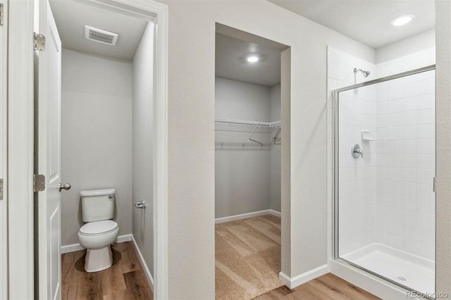 973 Cascade Falls Street, Severance, CO 80550