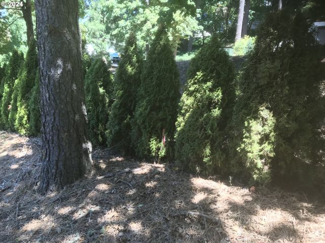 Butte Ln, Eugene, OR 97401