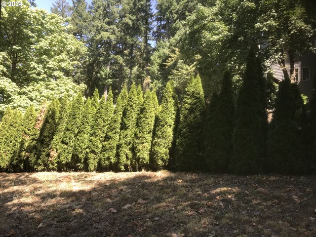 Butte Ln, Eugene, OR 97401