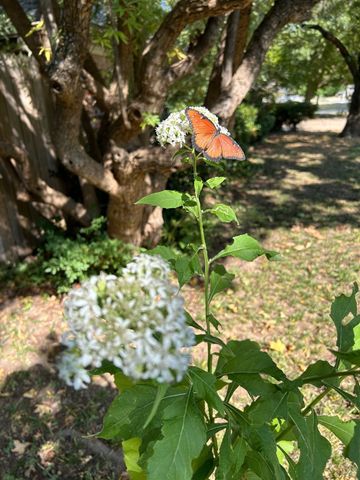 633 Highland Meadows Drive, Highland Village, TX 75077