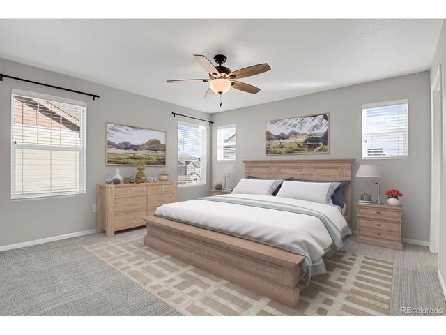 3058 Distant Rock Ave, Castle Rock, CO 80109