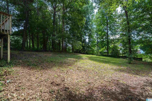 307 HUNTER HILLS CIRCLE, Chelsea, AL 35043