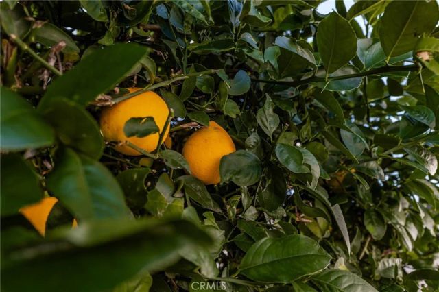 12220 5th 195, Yucaipa, CA 92399