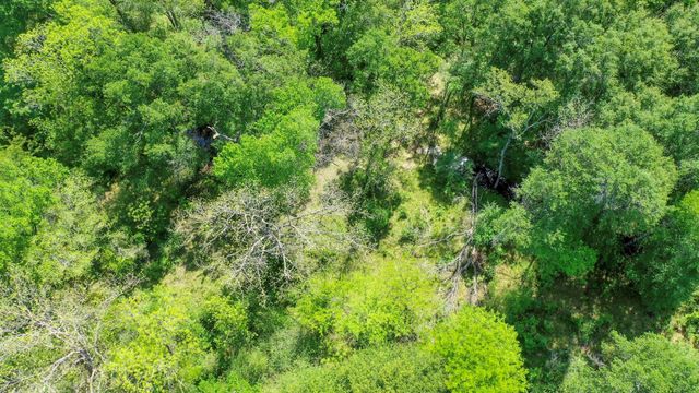 7000 Fm 3060, Midway, TX 75852