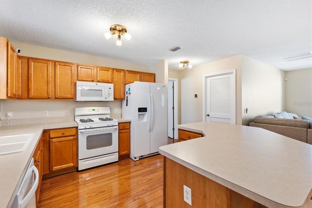 1729 MOUNTVILLE COURT, The Villages, FL 32162