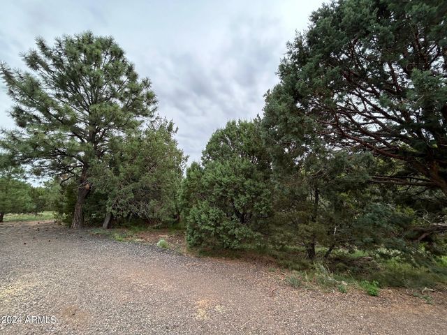 1467 COUNTY RD 3140 --, Vernon, AZ 85940