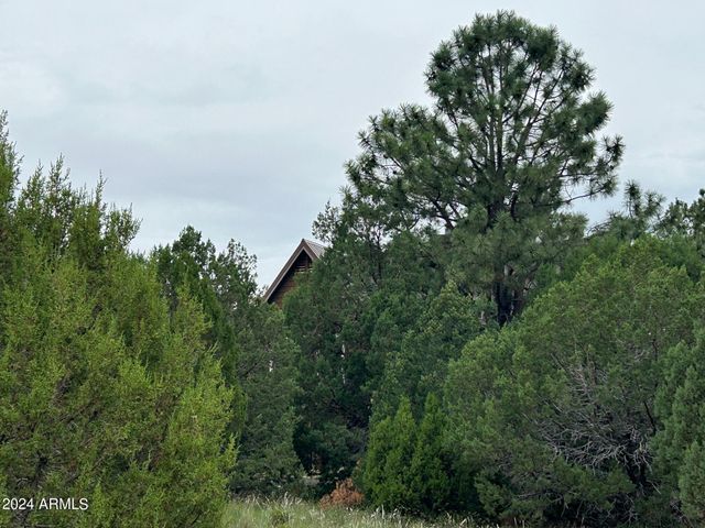 1467 COUNTY RD 3140 --, Vernon, AZ 85940