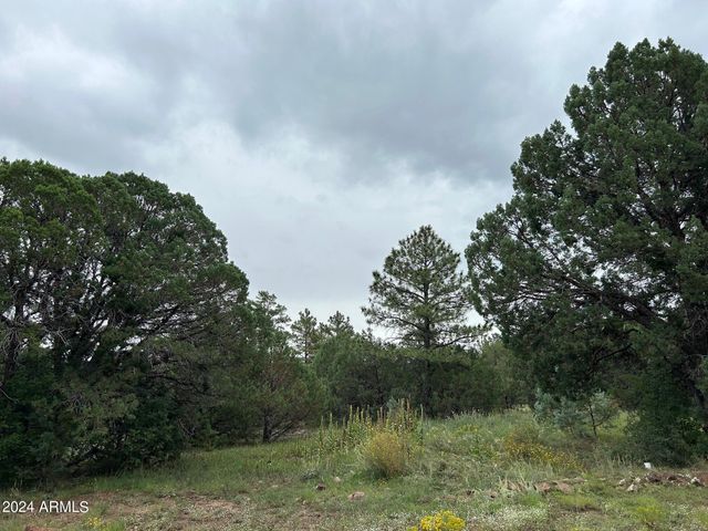 1467 COUNTY RD 3140 --, Vernon, AZ 85940