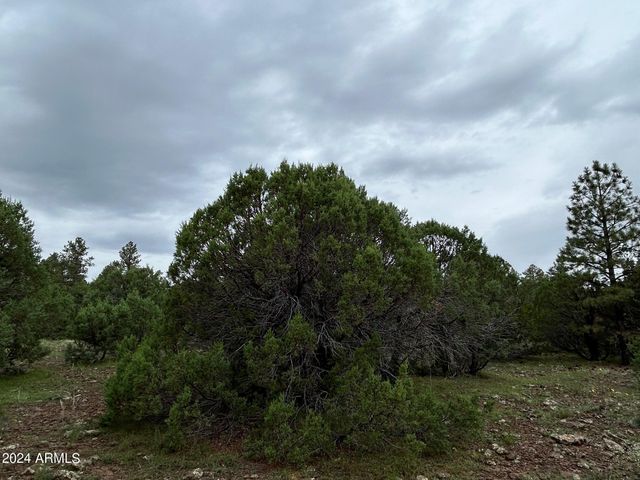 1467 COUNTY RD 3140 --, Vernon, AZ 85940