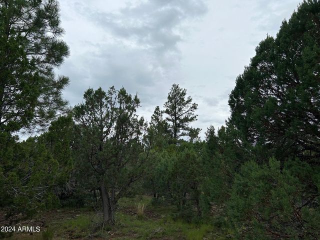 1467 COUNTY RD 3140 --, Vernon, AZ 85940