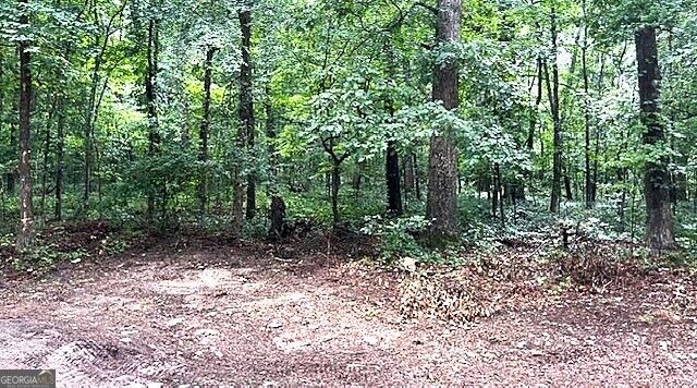 3871 Martin Drive, Ellenwood, GA 30294