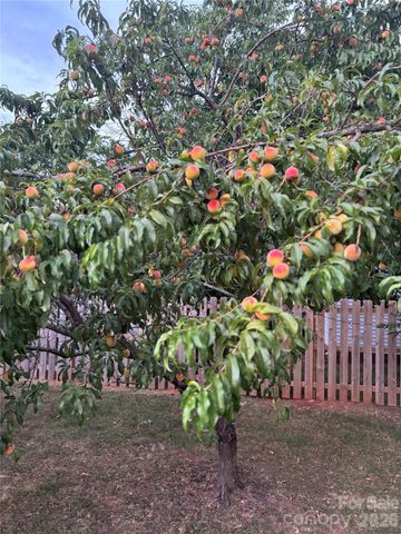 4132 Meadowview Hills Drive, Charlotte, NC 28269