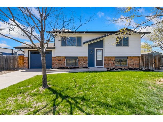 803 Table Mountain Ct, Windsor, CO 80550