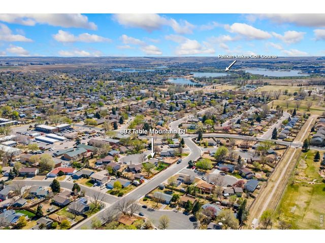 803 Table Mountain Ct, Windsor, CO 80550