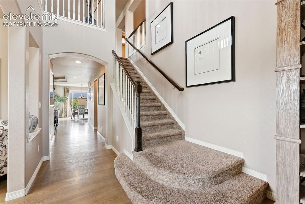 2264 Reed Grass Way, Colorado Springs, CO 80915 — photo 3
