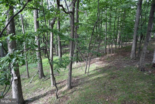 586 CARDINAL VIEW RD, Paw Paw, WV 25434