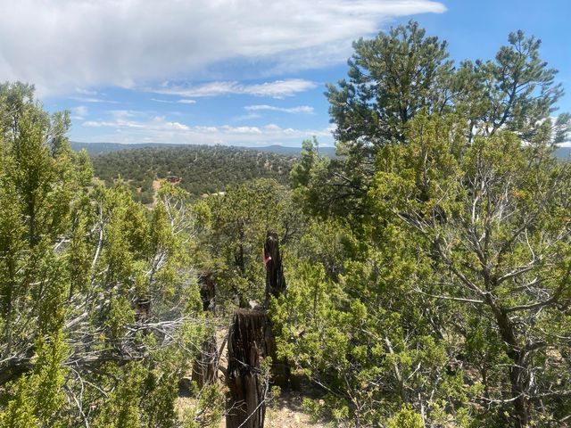 13 Vista Grande, Cedar Crest, NM 87008