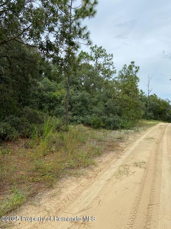 318 S Crestview Avenue, Inverness, FL 34452