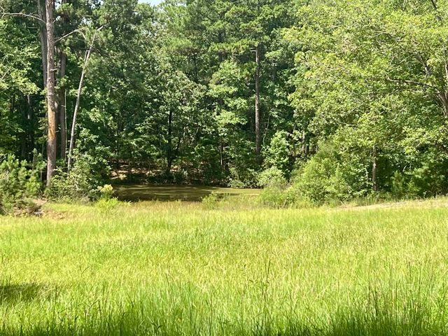 5002 CR 112 N, Overton, TX 75684
