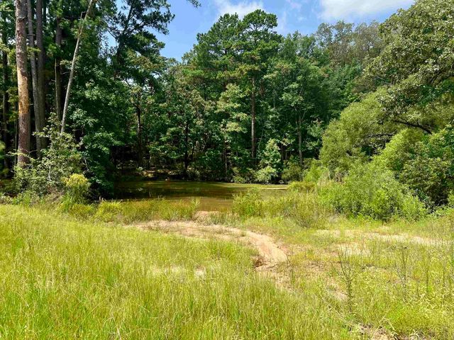 5002 CR 112 N, Overton, TX 75684
