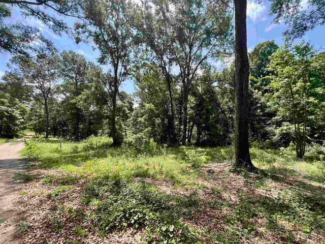 5002 CR 112 N, Overton, TX 75684