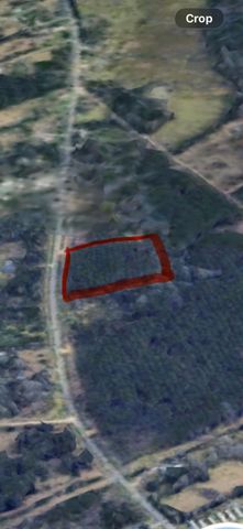 0 Fm 350 S, Livingston, TX 77351