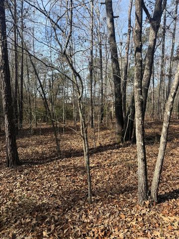 5861 Luckeys Bridge Road, Dearing, GA 30808