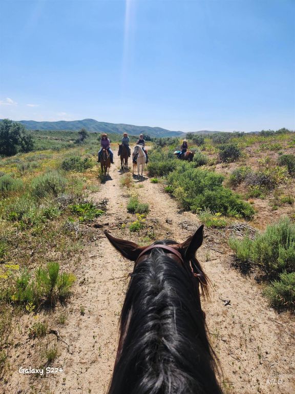 Ray Hunt Ranch, Mountain Home, ID 83647 photo 26