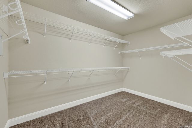 8423 Meri Leap, San Antonio, TX 78251