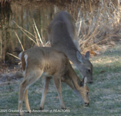 5525 N Williamston Road, Williamston, MI 48895