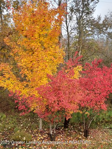 5525 N Williamston Road, Williamston, MI 48895