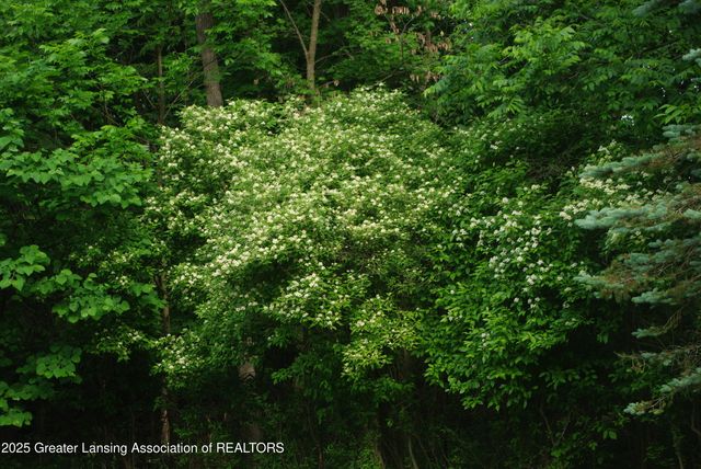 5525 N Williamston Road, Williamston, MI 48895