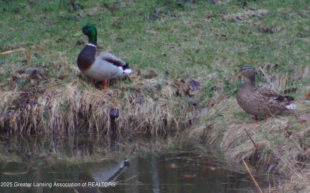 5525 N Williamston Road, Williamston, MI 48895