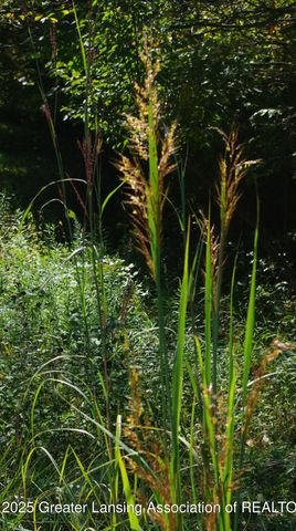 5525 N Williamston Road, Williamston, MI 48895