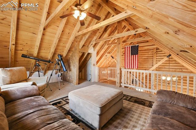 323 Singletree Court, Hartsel, CO 80449