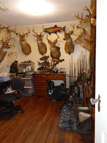 204 Terrace Street, Ashland, NY 14894