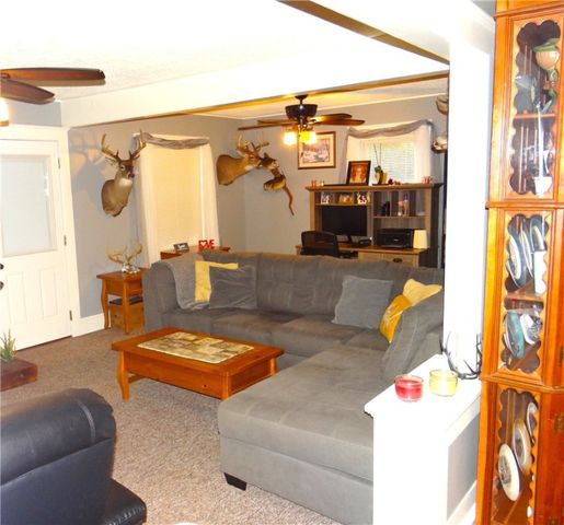 204 Terrace Street, Ashland, NY 14894