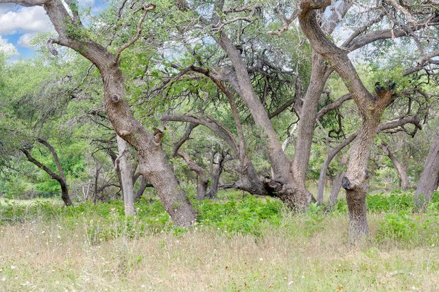 1942 Paradise PKWY, Canyon Lake, TX 78133