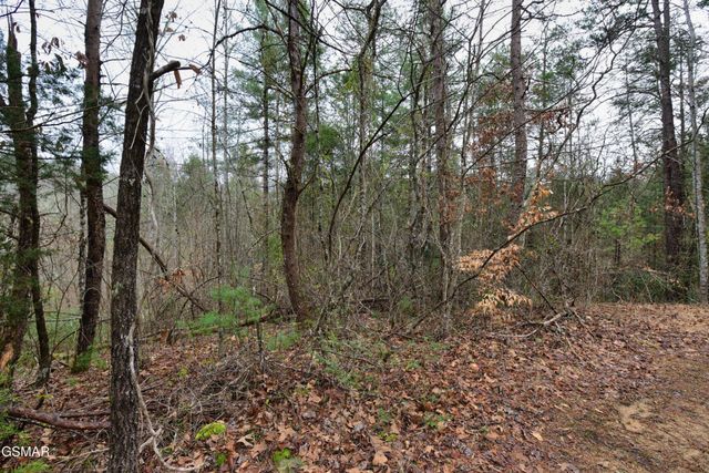 23 Alpine Ridge Way, Sevierville, TN 37876