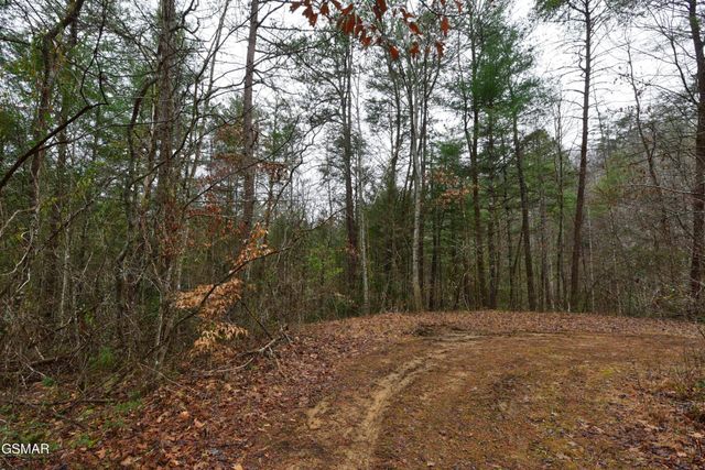 23 Alpine Ridge Way, Sevierville, TN 37876