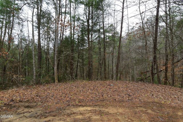 23 Alpine Ridge Way, Sevierville, TN 37876