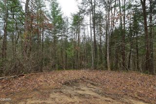 23 Alpine Ridge Way, Sevierville, TN 37876
