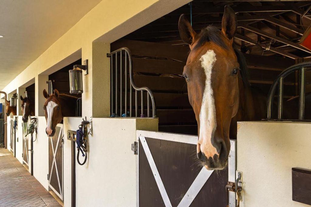 Image 43 of property listing at 5420 Las Palmas Avenue, Wellington, FL 33449