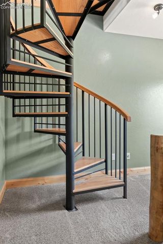 252 Running Elk Point, Divide, CO 80814