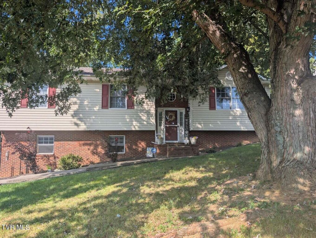 128 Ashley Drive, Mount Carmel, TN 37645