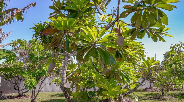 26500 SW 167th Ave, Homestead, FL 33031