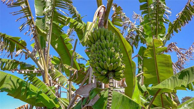 26500 SW 167th Ave, Homestead, FL 33031