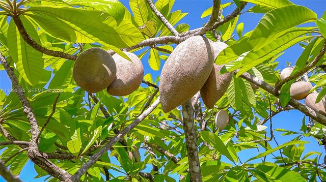 26500 SW 167th Ave, Homestead, FL 33031