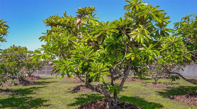 26500 SW 167th Ave, Homestead, FL 33031