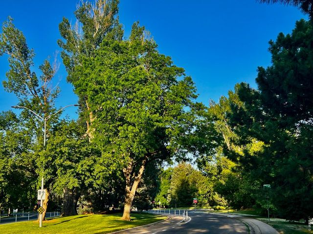 925 Columbia Rd 813, Fort Collins, CO 80525